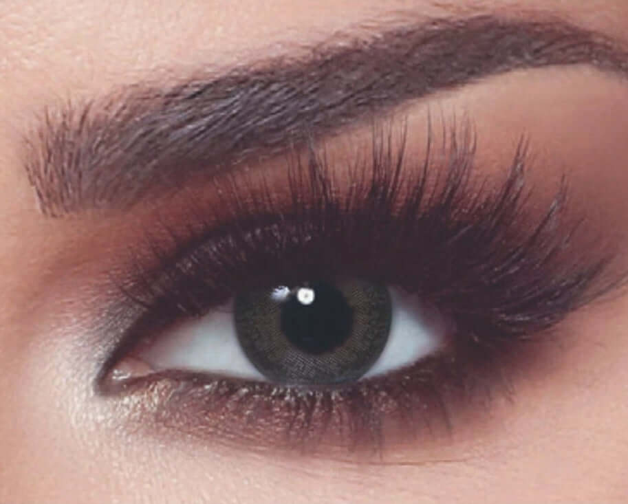 Ash Brown Lens Ash Brown Lens